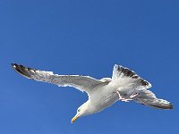 Radreise Kattegattleden-023
